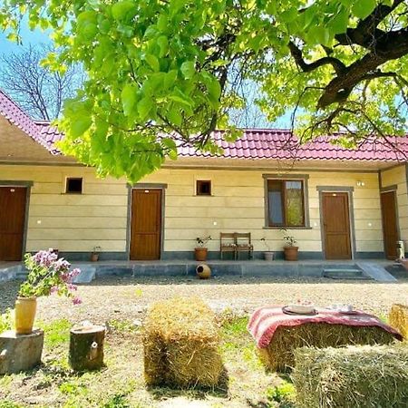 Aghasu Tun B&B Odzun Exteriér fotografie